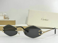 Cartier Sunglasses AAA (243)