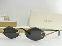 Cartier Sunglasses AAA (243) Cartier Sunglasses AAA (243)