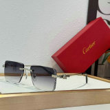 Cartier Sunglasses AAA (1717)