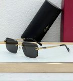 Cartier Sunglasses AAA (1419)