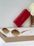 Cartier Sunglasses AAA (3164)