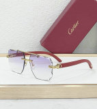 Cartier Sunglasses AAA (639)