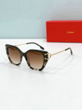 Cartier Sunglasses AAA (1282)