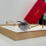 Cartier Sunglasses AAA (1833)