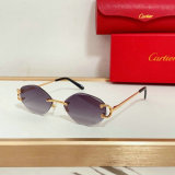 Cartier Sunglasses AAA (1412)