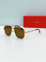 Cartier Sunglasses AAA (318) Cartier Sunglasses AAA (318)