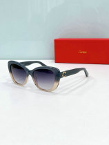 Cartier Sunglasses AAA (1550) Cartier Sunglasses AAA (1550)