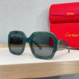 Cartier Sunglasses AAA (1949)