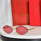 Cartier Sunglasses AAA (296)