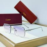Cartier Sunglasses AAA (2061)