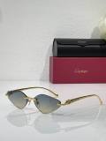 Cartier Sunglasses AAA (1955)