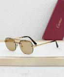 Cartier Sunglasses AAA (1983)