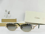 Cartier Sunglasses AAA (706)