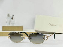 Cartier Sunglasses AAA (706)