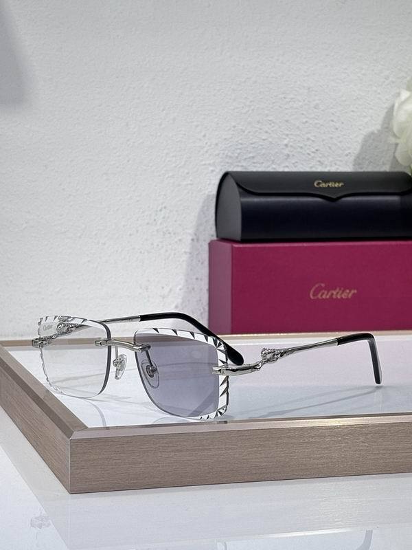 Cartier Sunglasses AAA (2494)