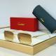 Cartier Sunglasses AAA (4057)