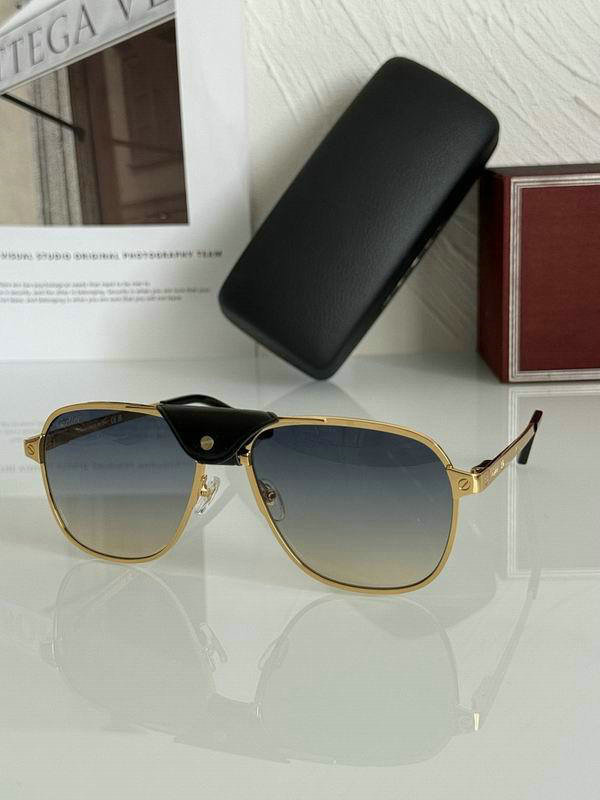 Cartier Sunglasses AAA (275)