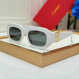Cartier Sunglasses AAA (911)