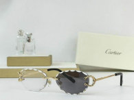 Cartier Sunglasses AAA (703)