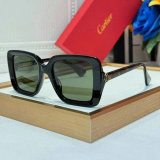 Cartier Sunglasses AAA (904)
