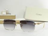 Cartier Sunglasses AAA (2273)