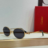 Cartier Sunglasses AAA (102)