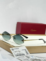Cartier Sunglasses AAA (1032) Cartier Sunglasses AAA (1032)