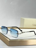 Cartier Sunglasses AAA (782)