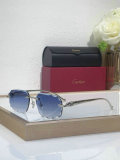 Cartier Sunglasses AAA (1204)