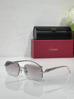 Cartier Sunglasses AAA (615)