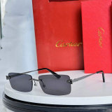 Cartier Sunglasses AAA (31)