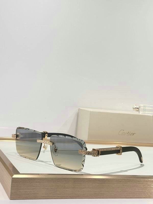 Cartier Sunglasses AAA (35)