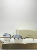 Cartier Sunglasses AAA (131)