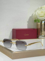 Cartier Sunglasses AAA (659)