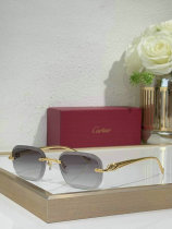 Cartier Sunglasses AAA (659) Cartier Sunglasses AAA (659)