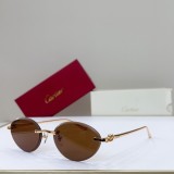 Cartier Sunglasses AAA (3192)