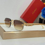 Cartier Sunglasses AAA (1646)
