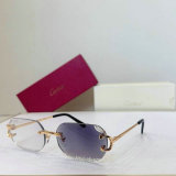 Cartier Sunglasses AAA (53)