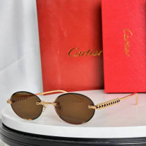 Cartier Sunglasses AAA (312) Cartier Sunglasses AAA (312)