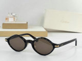 Cartier Sunglasses AAA (10)