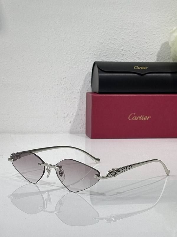 Cartier Sunglasses AAA (1957)