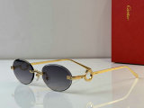 Cartier Sunglasses AAA (8)