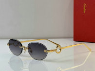 Cartier Sunglasses AAA (8)