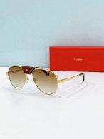 Cartier Sunglasses AAA (372)