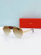 Cartier Sunglasses AAA (372)