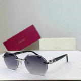 Cartier Sunglasses AAA (177)