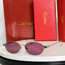 Cartier Sunglasses AAA (1448) Cartier Sunglasses AAA (1448)