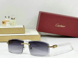 Cartier Sunglasses AAA (1102)