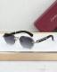 Cartier Sunglasses AAA (2012)