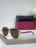 Cartier Sunglasses AAA (597)